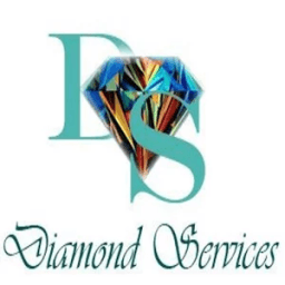 Diamond cleaner &amp; baby sitting иконка