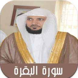 البقرة ماهر المعيقلي - بدون نت 1.0