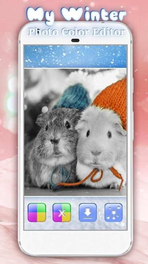 My Winter Photo Color Editor screenshot 8