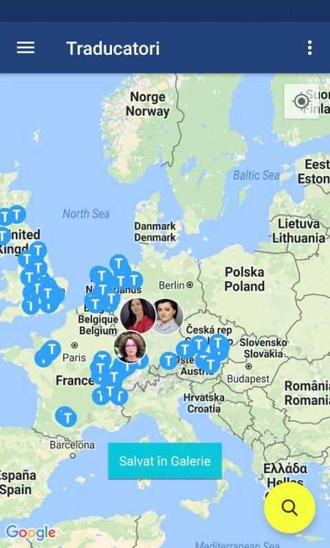 Servicii romanesti in U.E. screenshot 4