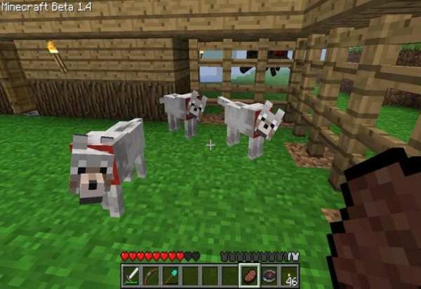 Pocket Pet Mod For Minecraft 3 تصوير الشاشة
