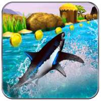 Black Shark Water Run