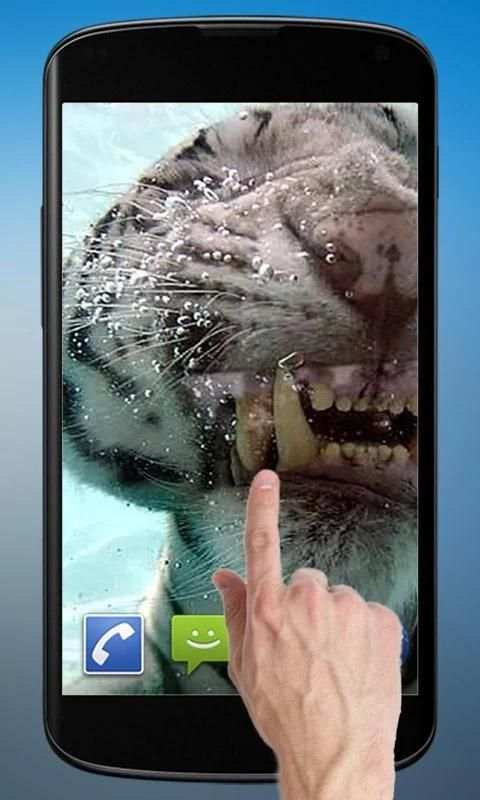 Diving Tiger Live Wallpaper screenshot 3
