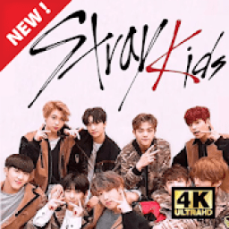 ikon Stray Kids Wallpapers 2020