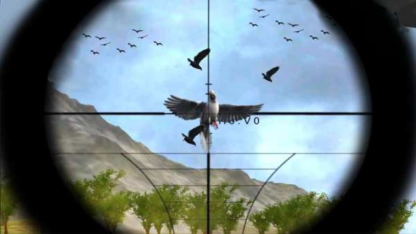 Bird Hunting Jungle Adventure screenshot 4
