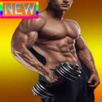 biceps workout :free download