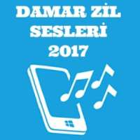 Damar Zil Sesleri 2017