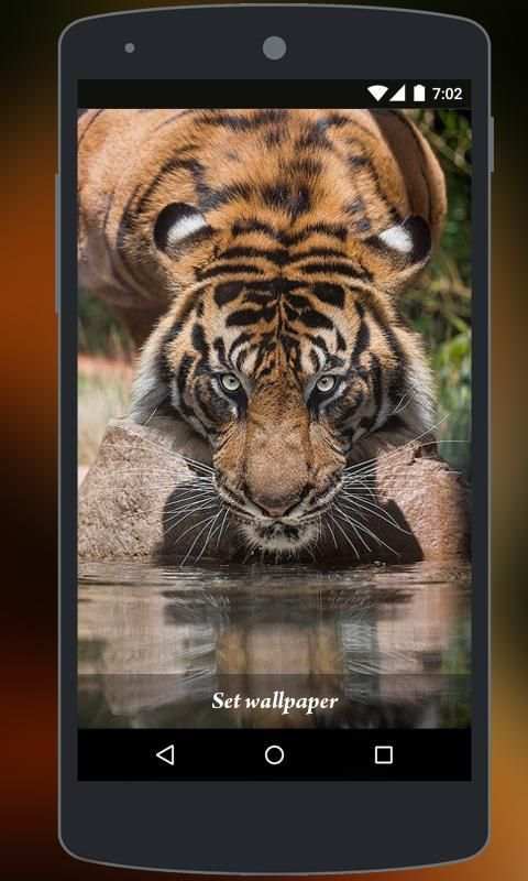 Tiger Live Wallpaper स्क्रीनशॉट 1