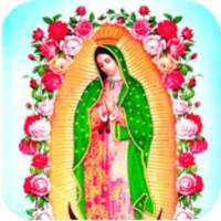 Nuestra Guadalupe