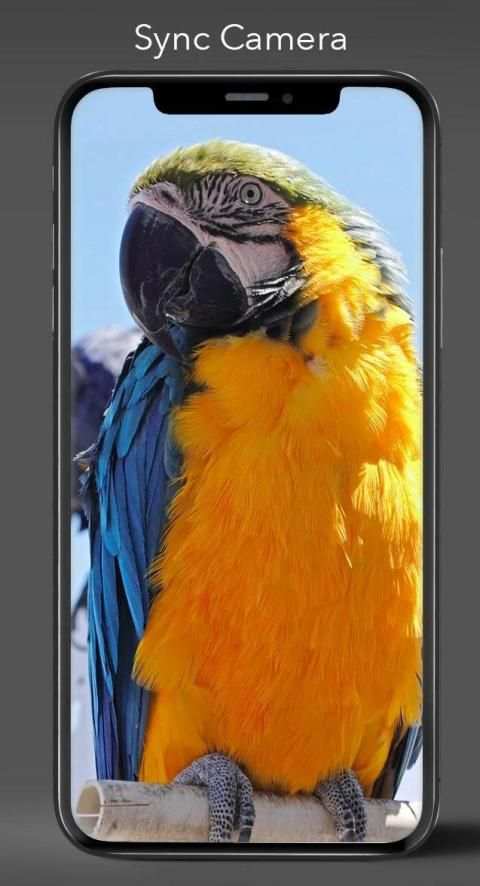 Sync Camera HD screenshot 4