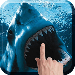 Shark Attack Live Wallpaper icon