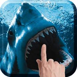 Shark Attack 3.1