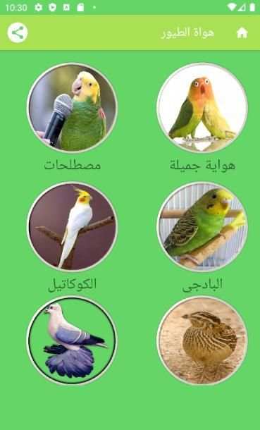 هواة الطيور
‎ screenshot 7