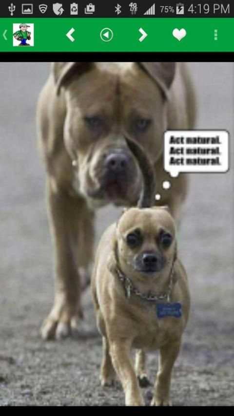 Funny Images, Status, Memes... screenshot 9