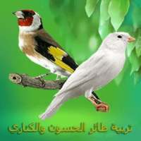 تربية طائر الحسون والكناري on 9Apps