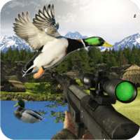 Sniper Duck Hunting 2017