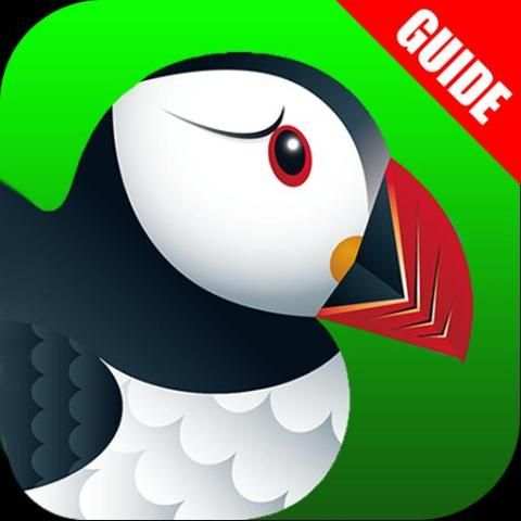 Guide Puffin Browser Free screenshot 1
