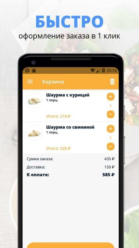 Dr. Food | Благовещенск screenshot 2