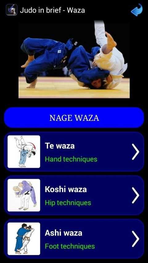 Judo in brief screenshot 23