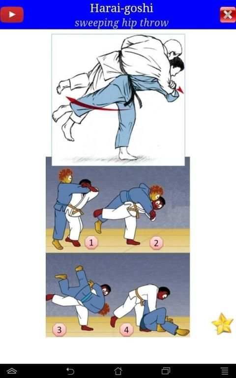 Judo in brief screenshot 15