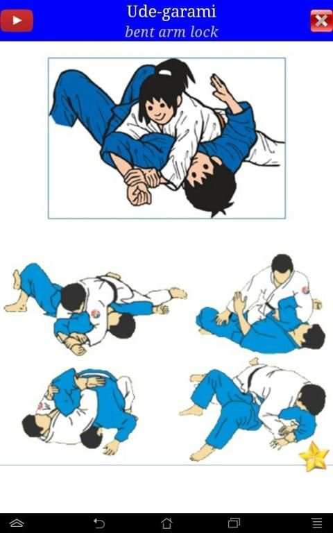 Judo in brief screenshot 10