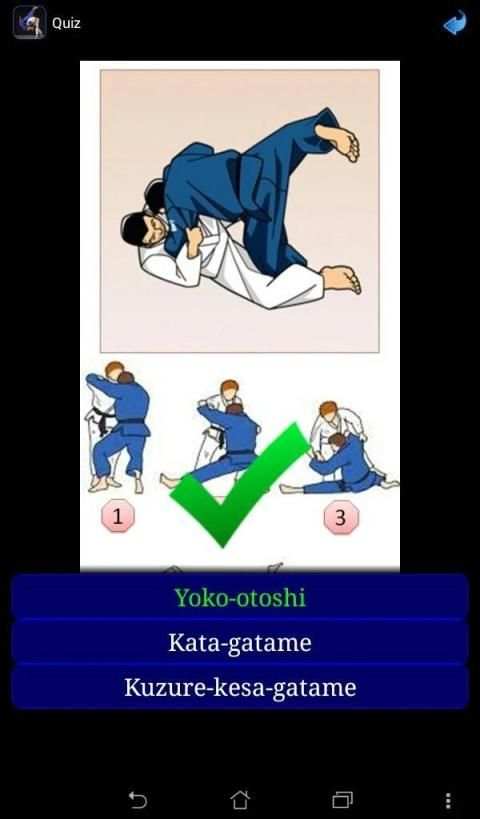 Judo in brief screenshot 7