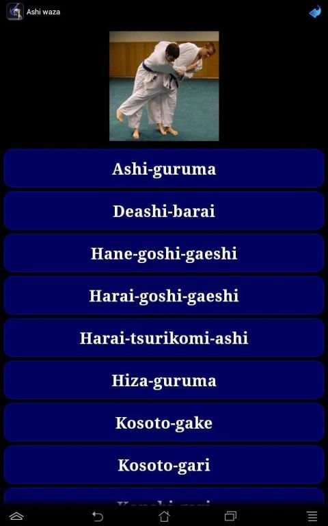 Judo in brief screenshot 9