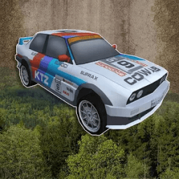 ikon Northumbria Rally