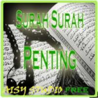 Surah-Surah Penting