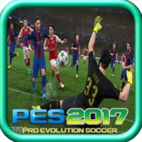 PRO GUIDE PES 2017