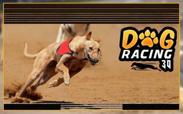 Greyhound Dog Racing 3D screenshot 8