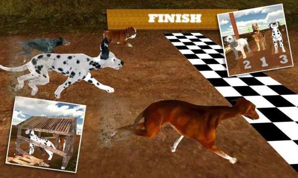 Greyhound Dog Racing 3D screenshot 17