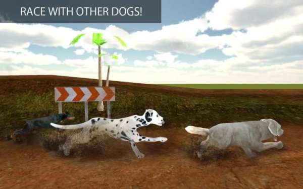 Greyhound Dog Racing 3D screenshot 9