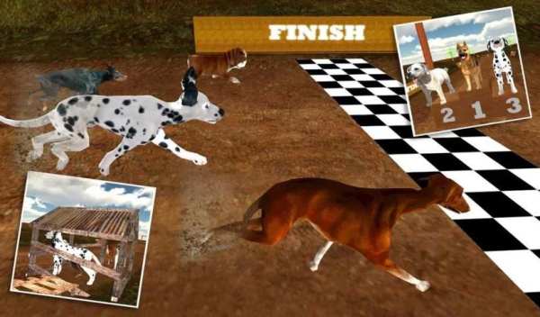 Greyhound Dog Racing 3D screenshot 5