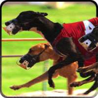 Anjing Greyhound balap 3D