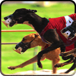 Greyhound Dog Racing 3D आइकन