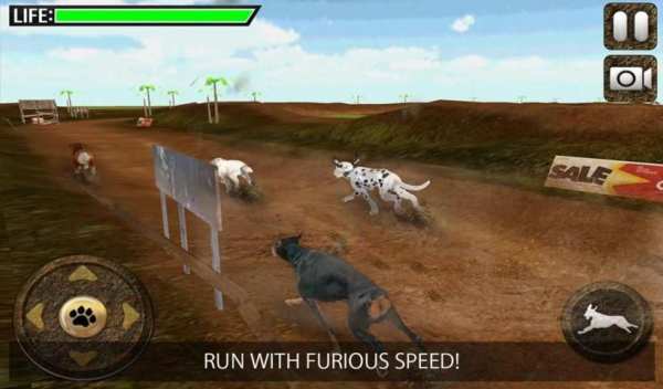 Greyhound Dog Racing 3D screenshot 4