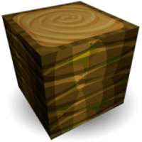 Play World Craft : Survive