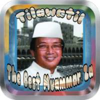 Tilawatil Quran│Muamar Offline on 9Apps