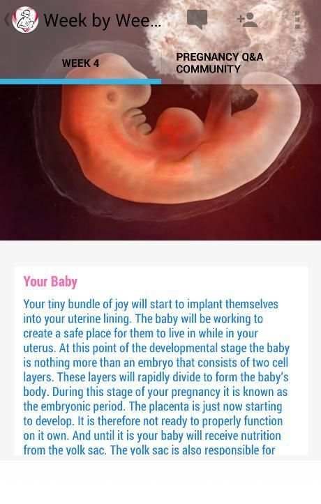 Pregnancy Stages 12 تصوير الشاشة