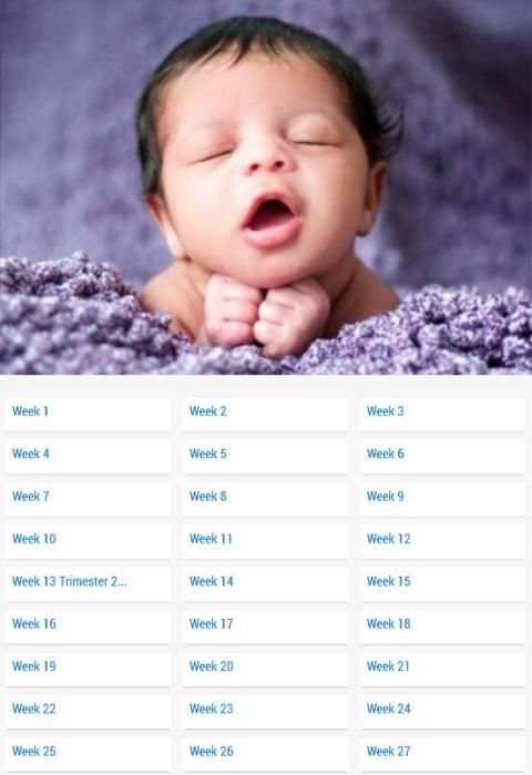 Pregnancy Stages 5 تصوير الشاشة