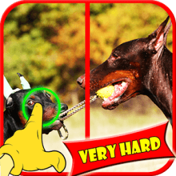 ikon Cari Perbedaan Dog Game