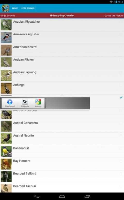 South American Birds скриншот 13