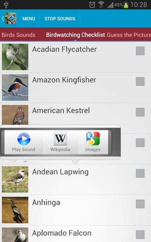South American Birds скриншот 21
