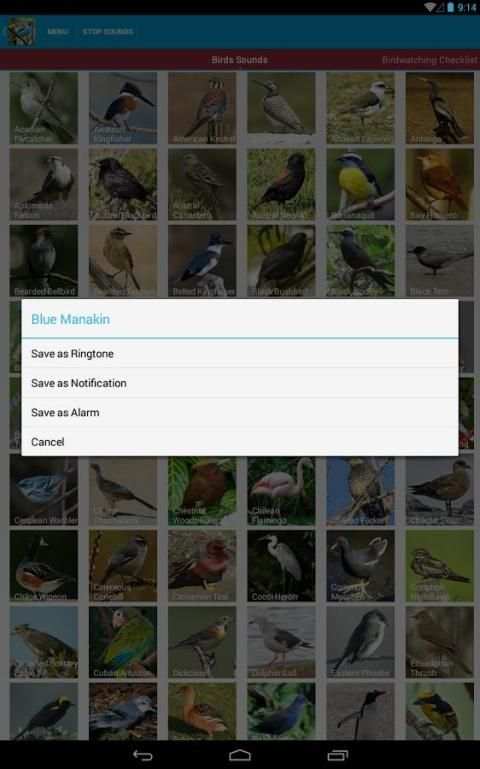 South American Birds скриншот 9