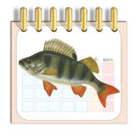 Календарь рыбака on 9Apps