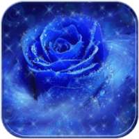 Blue Rose Cinta Romantis Tema