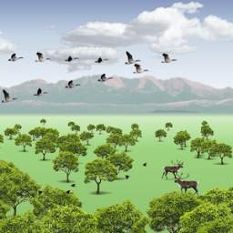 Wind Birds 2.1