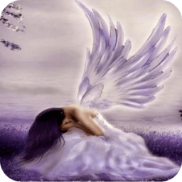 3D Angel आइकन