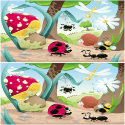 What's Missing? Differences иконка